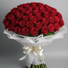 Букет 101 Красная роза Блэк Мэджик #REPLACE_PRED# Бытха