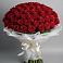Букет 101 Красная роза Блэк Мэджик в Бытха