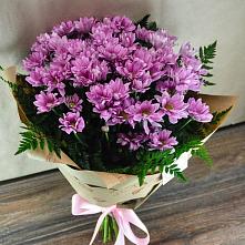 Букет цветов из:  Хризантемы #REPLACE_PRED# Бытха