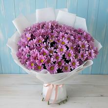 Букет цветов из:  Хризантемы в Бытха