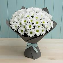 Букет цветов из:  Хризантемы #REPLACE_PRED# Бытха