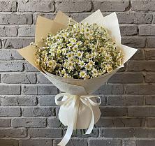 Букет цветов из:  Ромашки #REPLACE_PRED# Бытха
