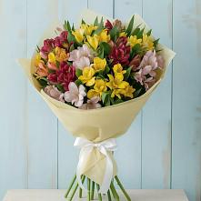 Букет цветов из:  Альстромерии в Бытха