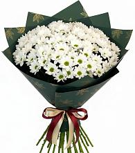 Букет цветов из:  Хризантемы в Бытха