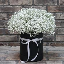 Цветочная композиция из Гипсофила в шляпной коробке #REPLACE_PRED# Бытха