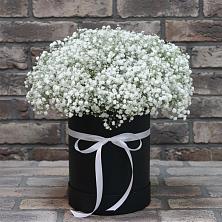 Цветочная композиция из Гипсофила в шляпной коробке в Бытха