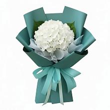Букет цветов из:  Гортензия в Бытха